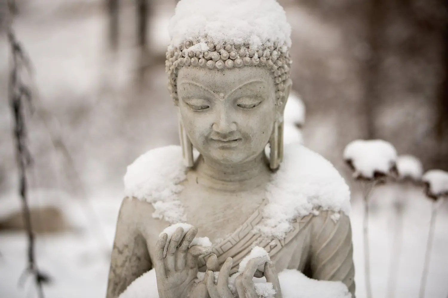 “Applying the philosophy of yoga to everyday life” by S. N.