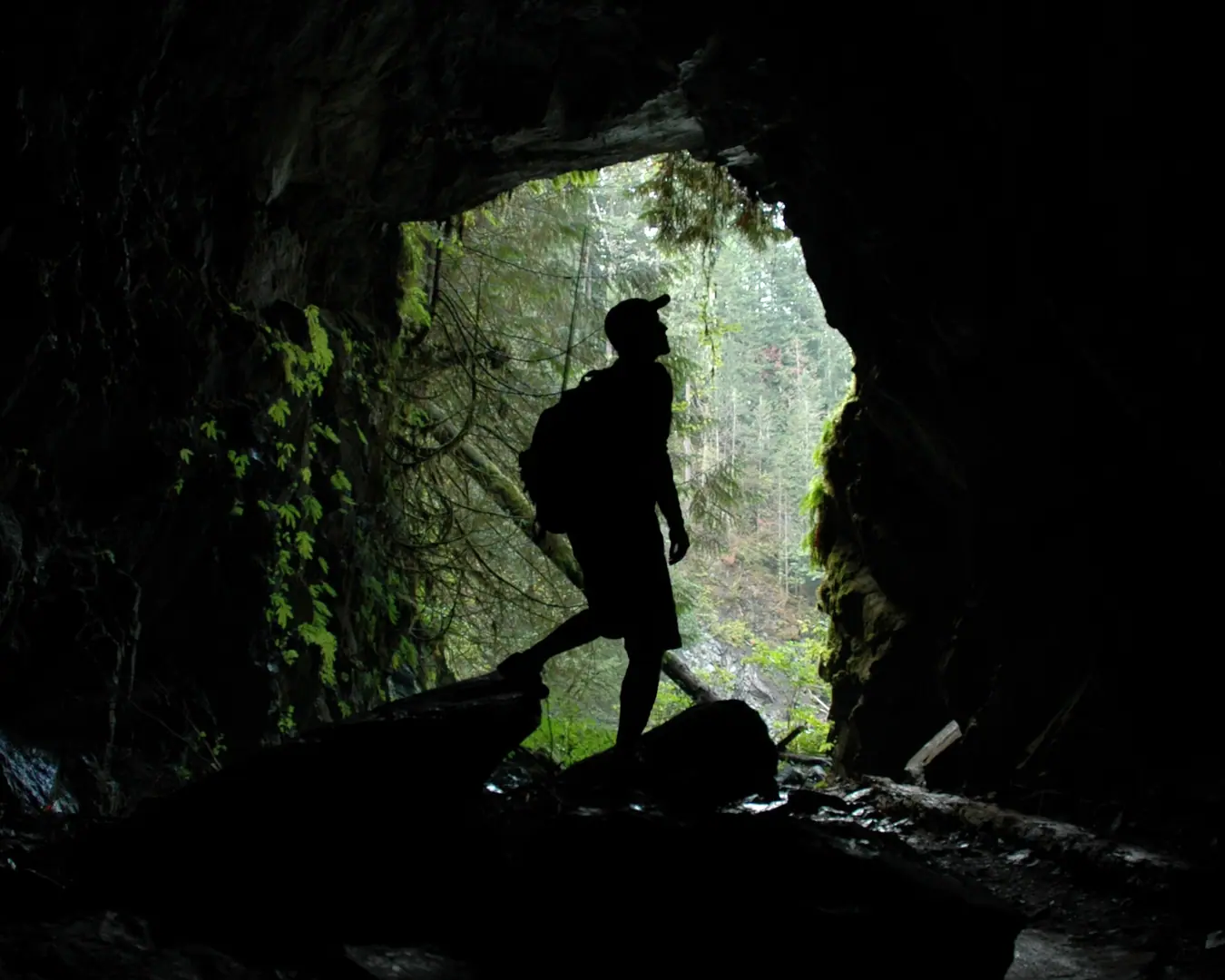 Life is an experiential laboratory
