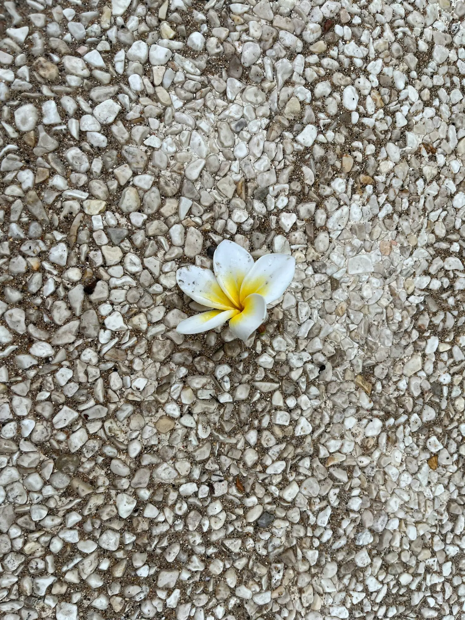 "I teach Spirituality" - Marco M. 
