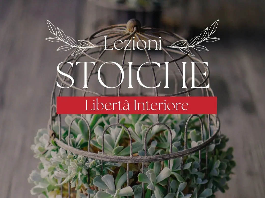 Stoic Lessons: Inner Freedom