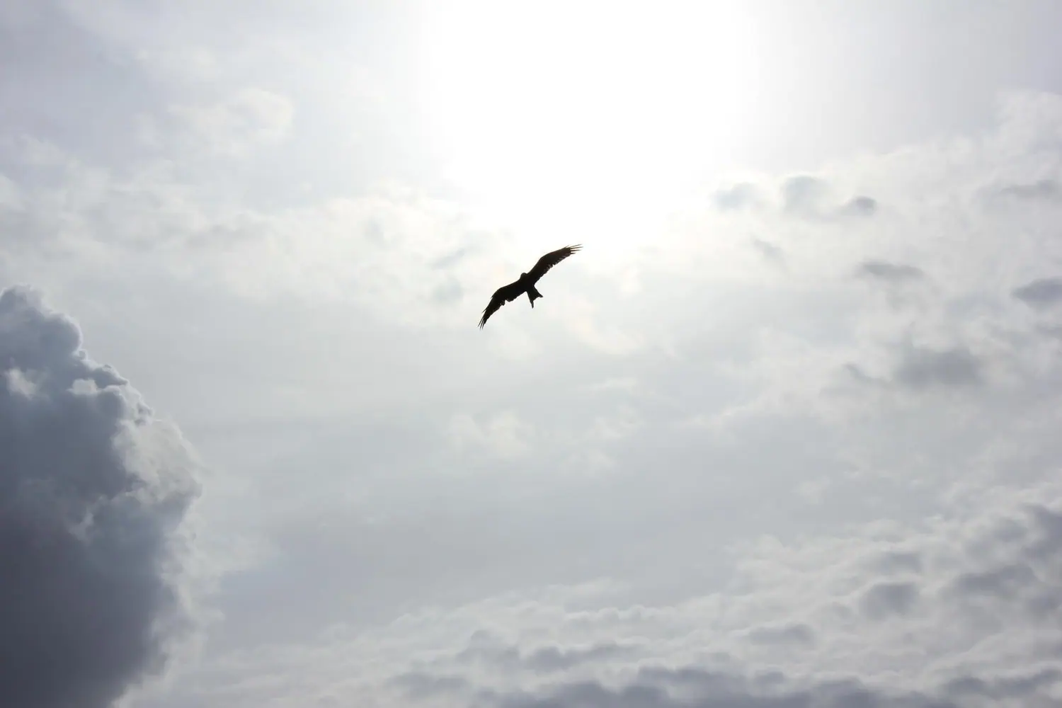 Inner Freedom